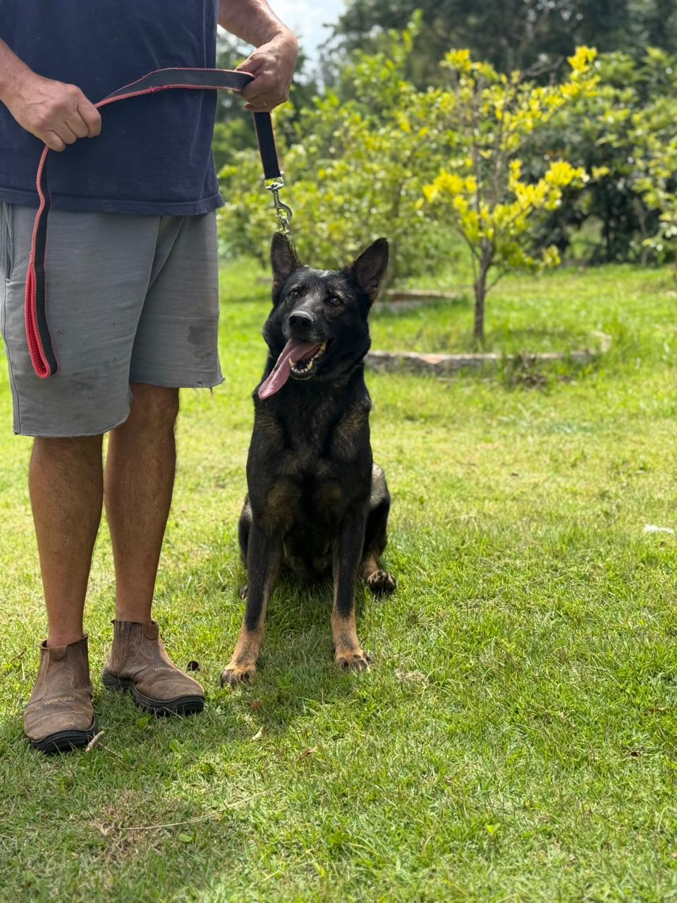 Fada Pastores Ividal